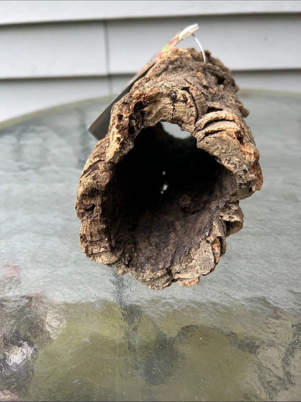 Zoo Med natural cork